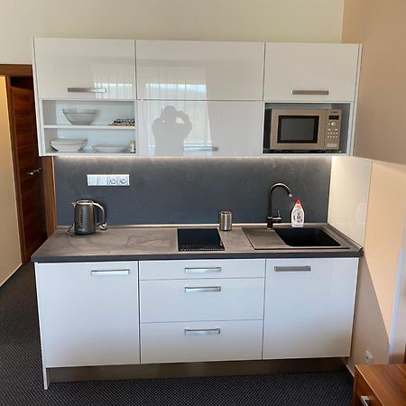 Apartmany Wellness Фримбурк Экстерьер фото