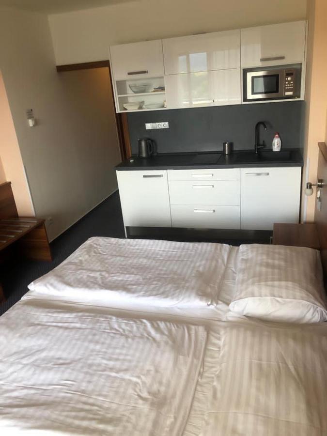 Apartmany Wellness Фримбурк Экстерьер фото